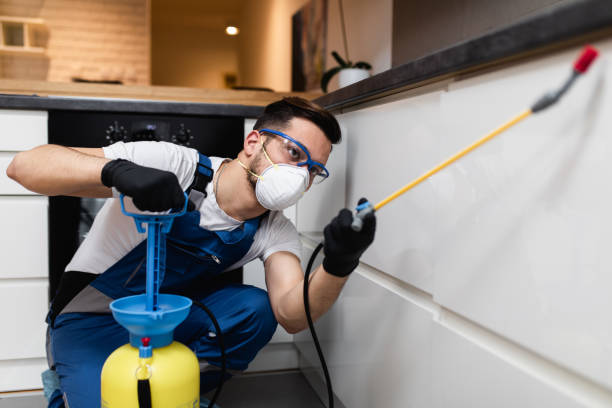 Best Mosquito Control Services  in Hasbrouck Heights, NJ