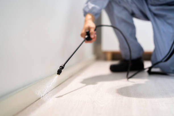 Best Residential Pest Control  in Hasbrouck Heights, NJ