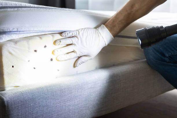 Wildlife Control Services in Hasbrouck Heights, NJ