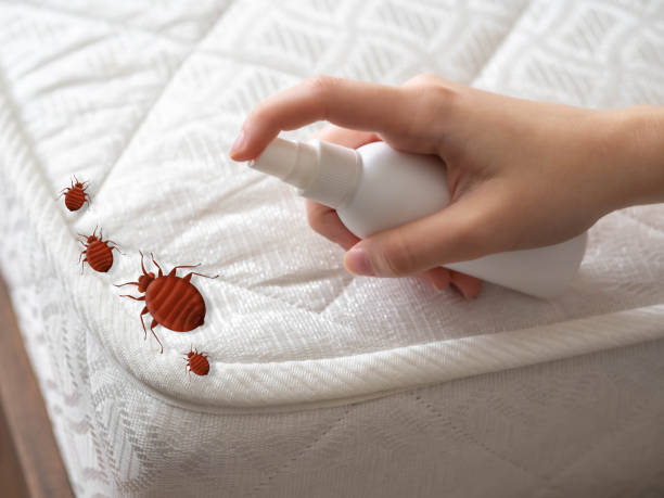 Best Exterminator Services  in Hasbrouck Heights, NJ
