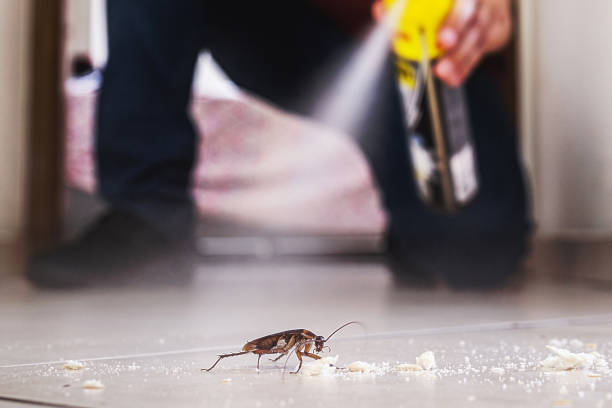 Trusted Hasbrouck Heights, NJ Pest Control Experts