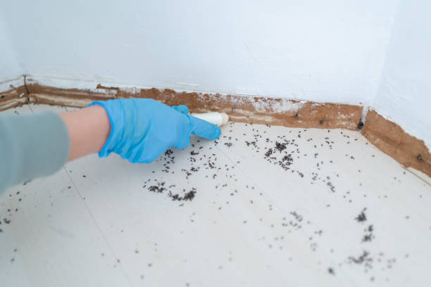 Best Wildlife Control Services  in Hasbrouck Heights, NJ