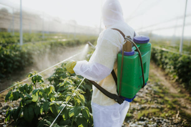 Best Commercial Pest Control Services  in Hasbrouck Heights, NJ
